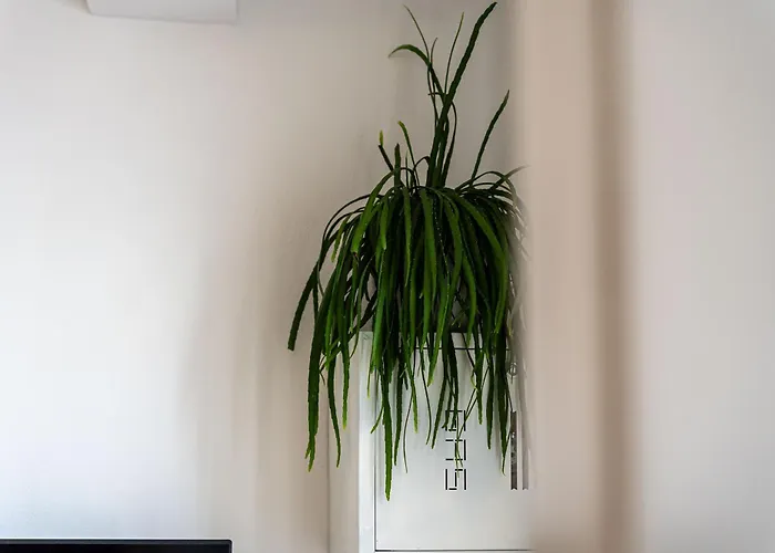 Laura - Residenze Estensi 公寓